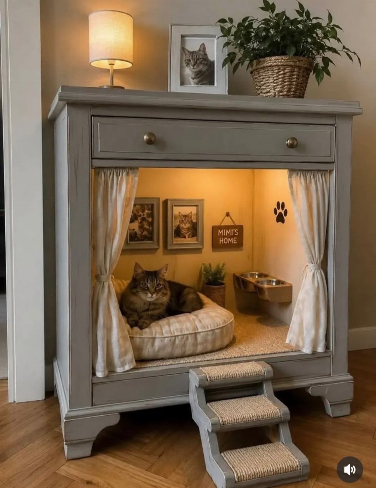 Cat lounging inside a custom grey wooden pet house with curtains and stairs.